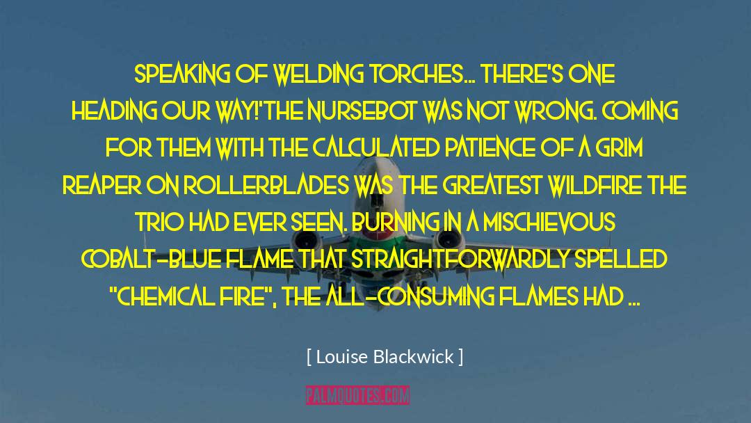 Louise Blackwick Quotes: Speaking of welding torches... there's