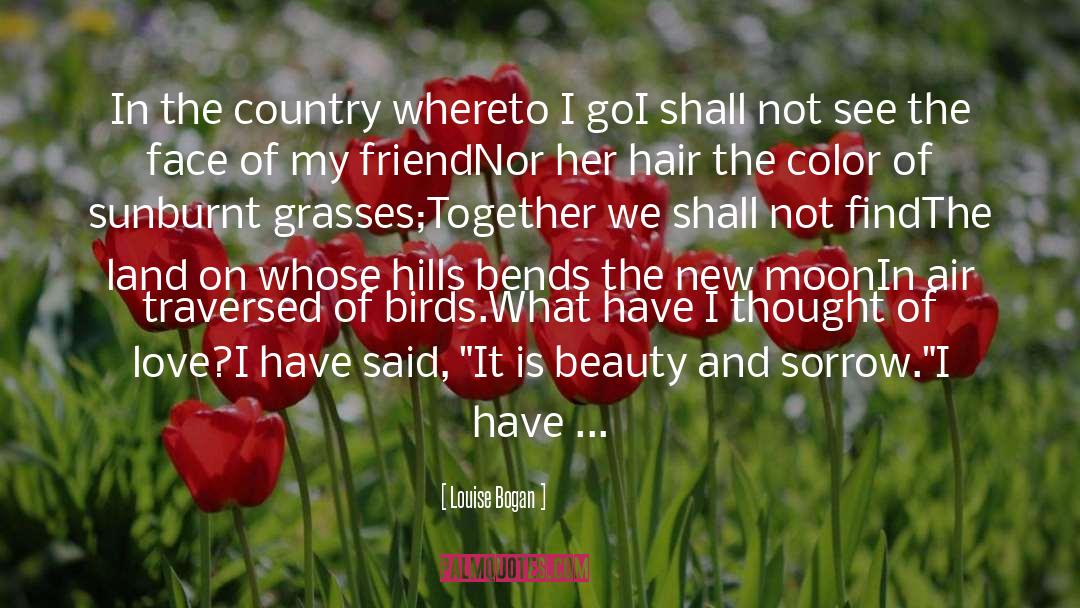 Louise Bogan Quotes: In the country whereto I