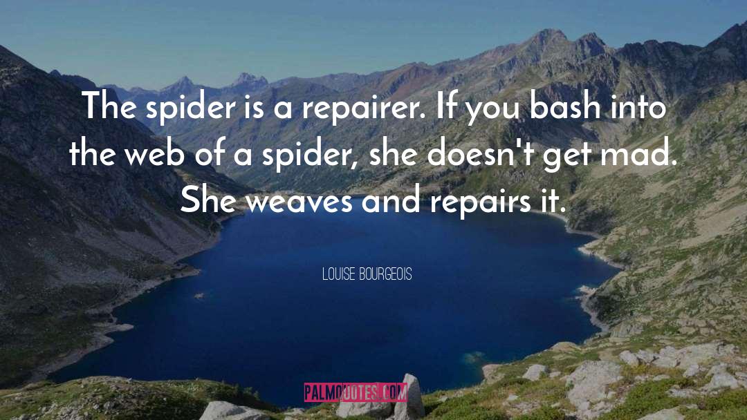 Louise Bourgeois Quotes: The spider is a repairer.