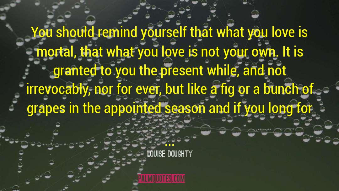 Louise Doughty Quotes: You should remind yourself that