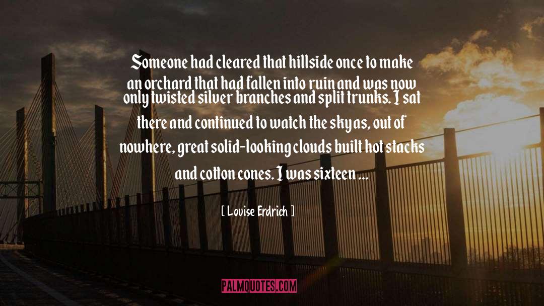 Louise Erdrich Quotes: Someone had cleared that hillside