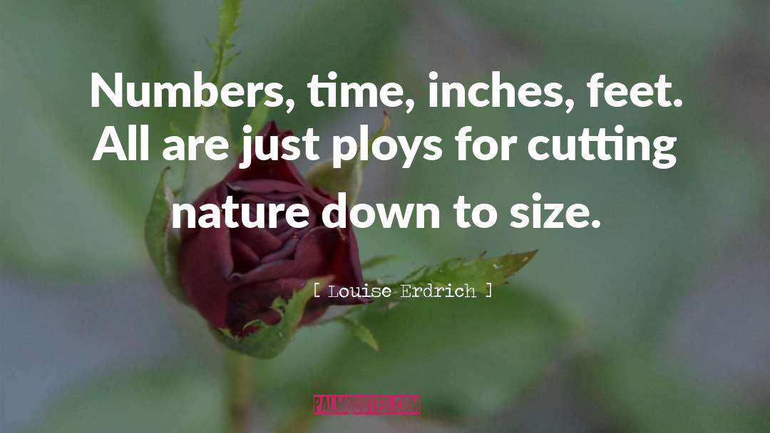 Louise Erdrich Quotes: Numbers, time, inches, feet. All