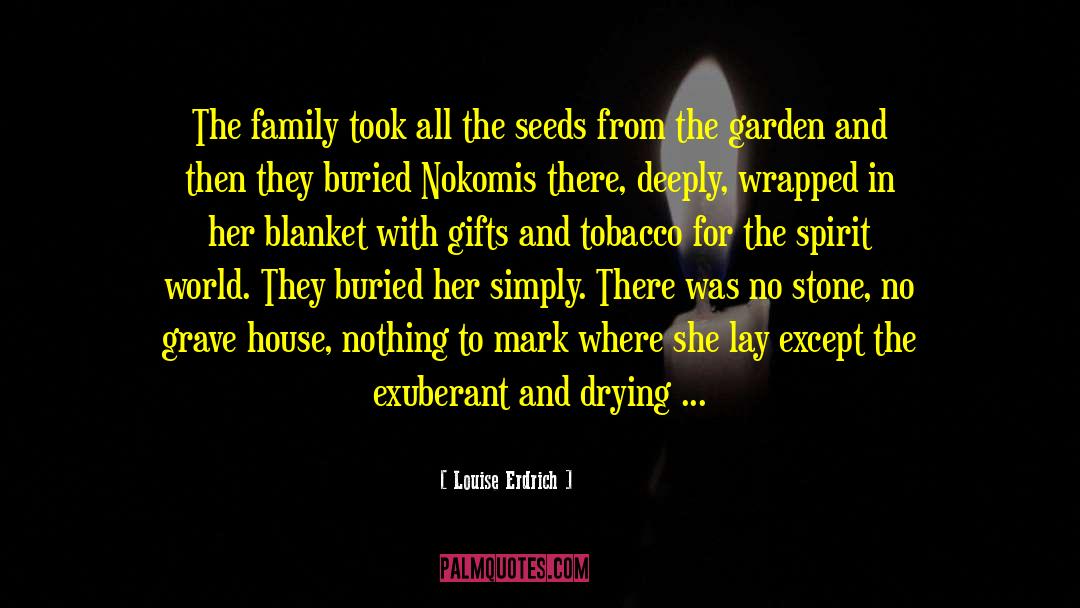 Louise Erdrich Quotes: The family took all the