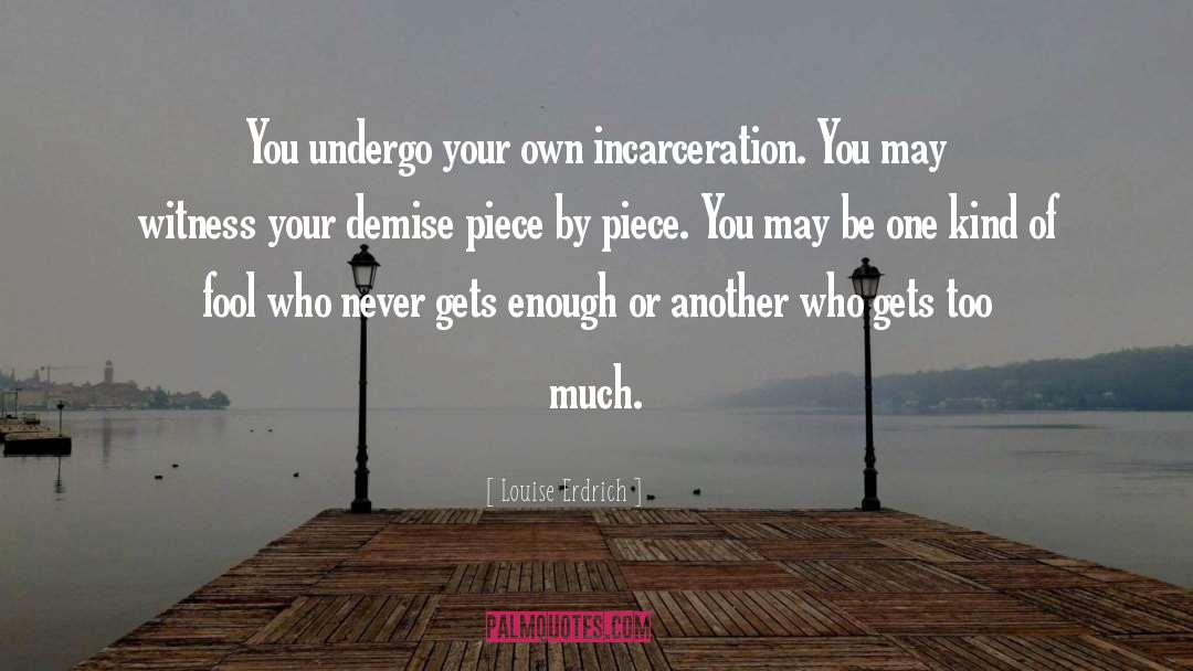 Louise Erdrich Quotes: You undergo your own incarceration.