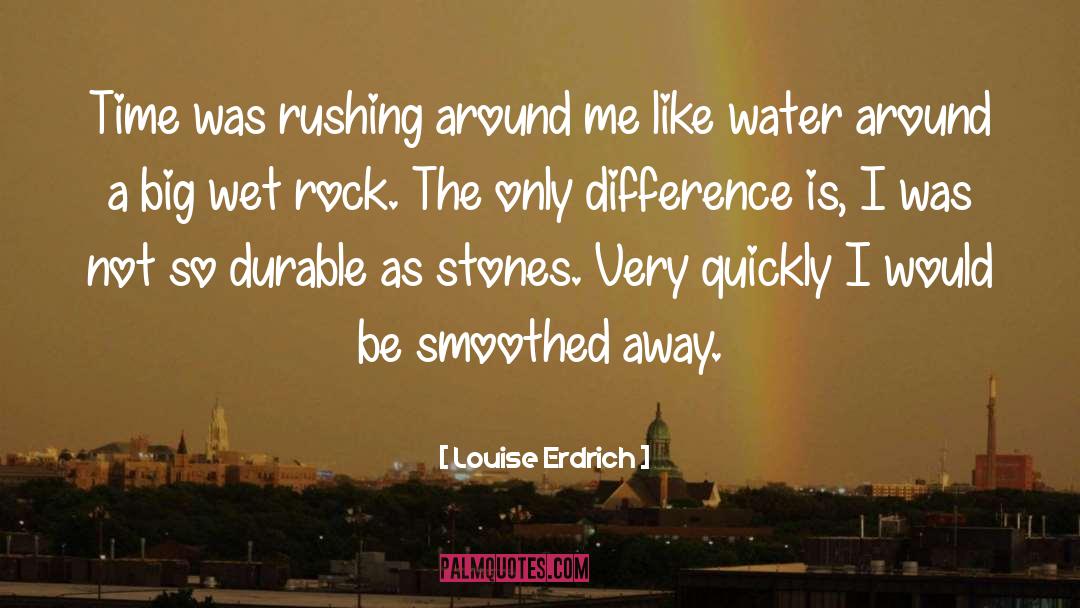 Louise Erdrich Quotes: Time was rushing around me