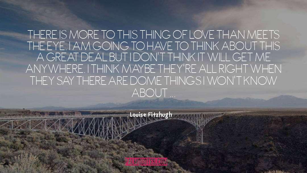 Louise Fitzhugh Quotes: THERE IS MORE TO THIS