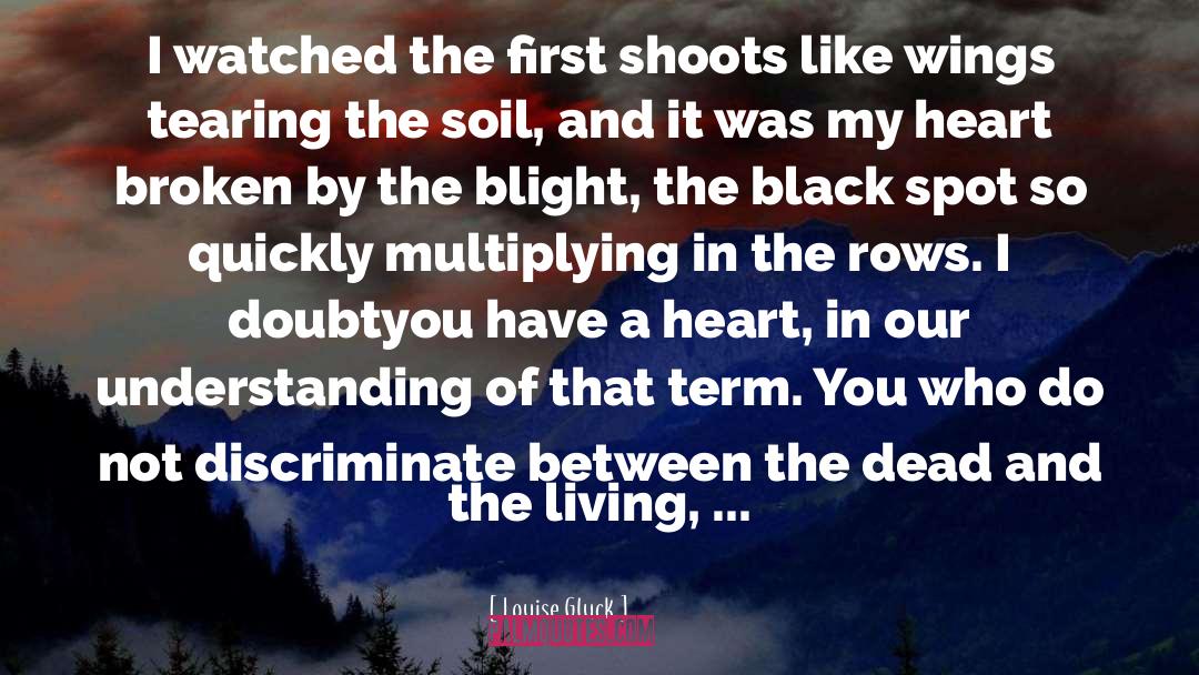 Louise Gluck Quotes: I watched the first shoots