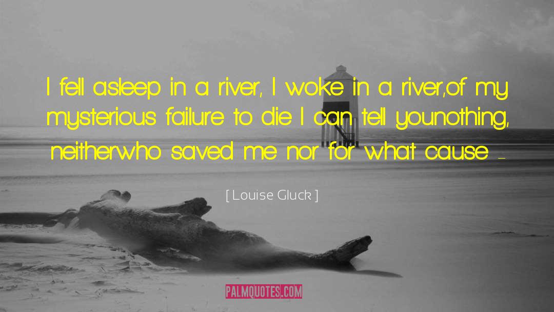 Louise Gluck Quotes: I fell asleep in a