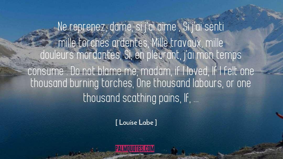 Louise Labe Quotes: Ne reprenez, dame, si j'ai