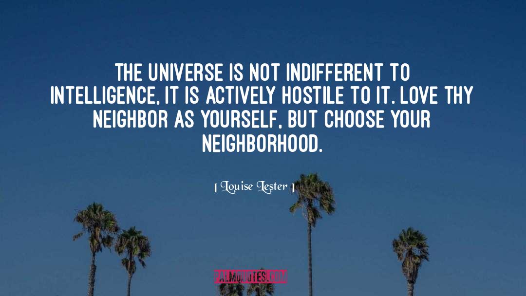 Louise Lester Quotes: The universe is not indifferent