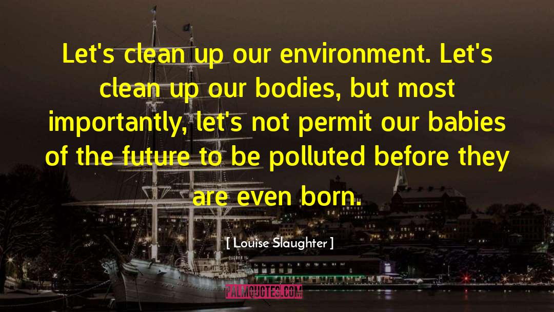 Louise Slaughter Quotes: Let's clean up our environment.