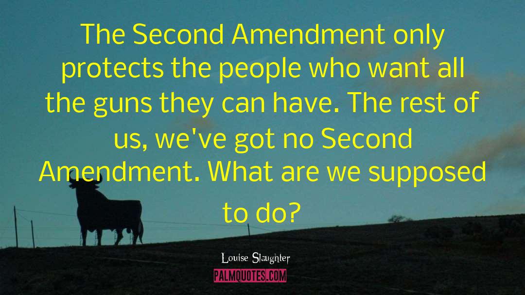 Louise Slaughter Quotes: The Second Amendment only protects
