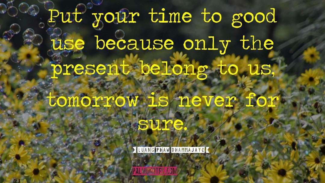 Luang Phaw Dhammajayo Quotes: Put your time to good