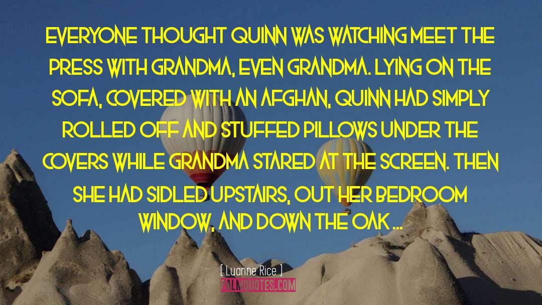 Luanne Rice Quotes: EVERYONE THOUGHT QUINN was watching