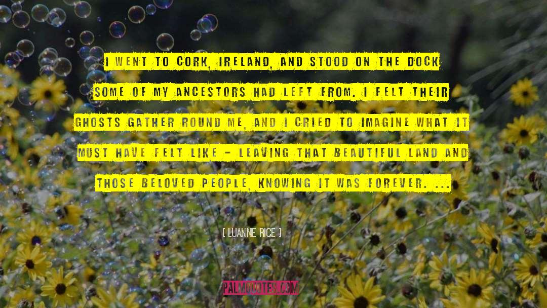 Luanne Rice Quotes: I went to Cork, Ireland,