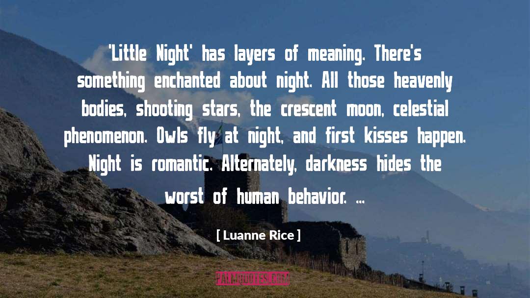 Luanne Rice Quotes: 'Little Night' has layers of