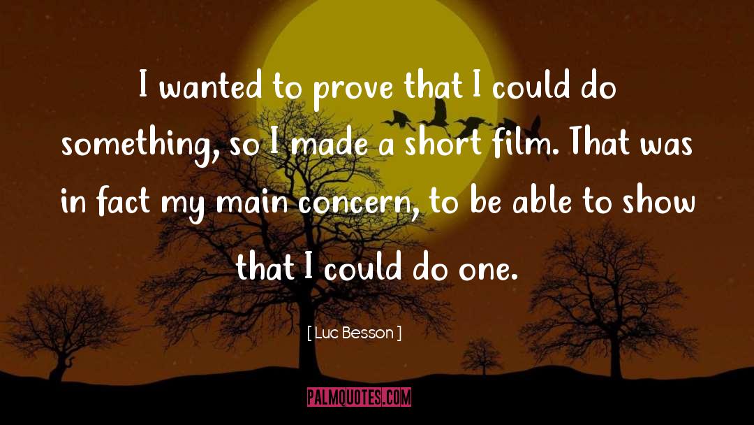 Luc Besson Quotes: I wanted to prove that