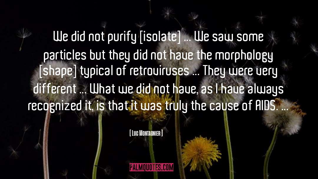 Luc Montagnier Quotes: We did not purify [isolate]