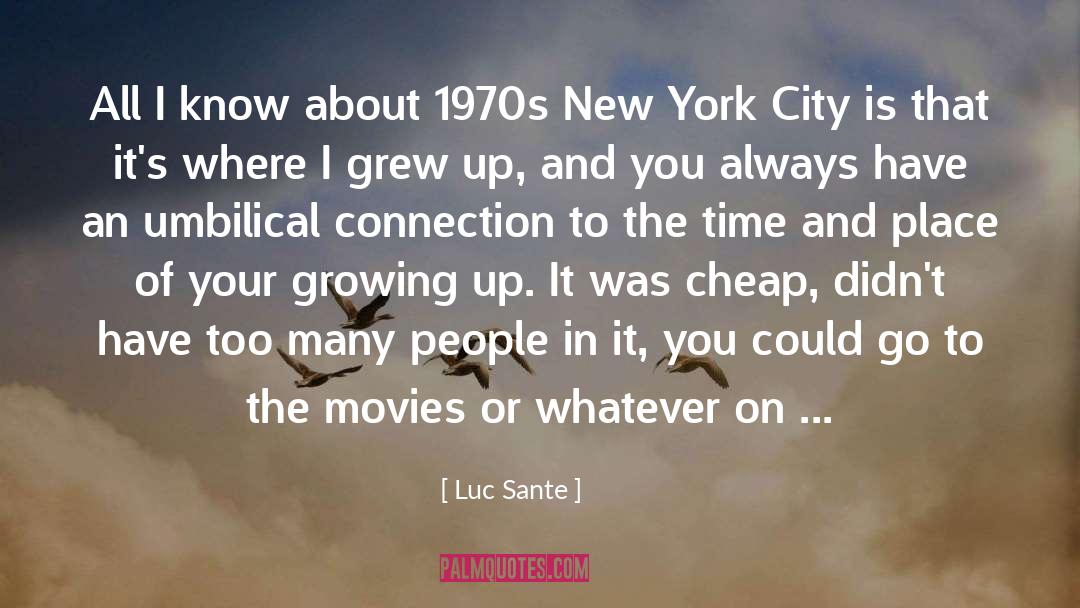 Luc Sante Quotes: All I know about 1970s
