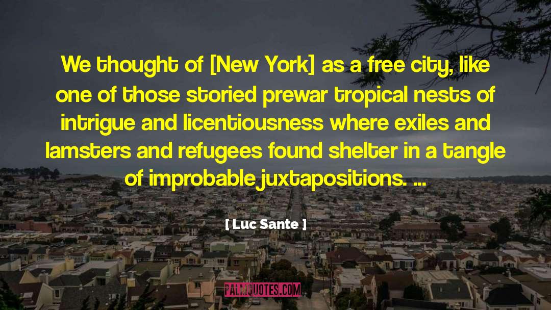 Luc Sante Quotes: We thought of [New York]
