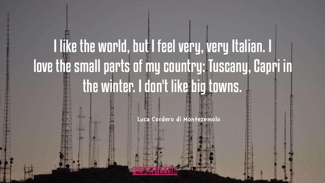 Luca Cordero Di Montezemolo Quotes: I like the world, but
