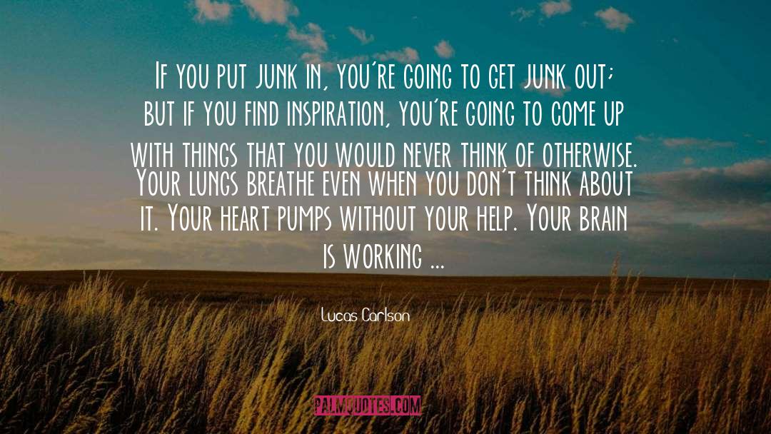 Lucas Carlson Quotes: If you put junk in,