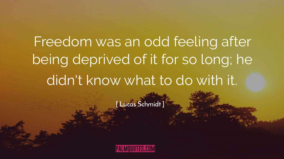 Lucas Schmidt Quotes: Freedom was an odd feeling