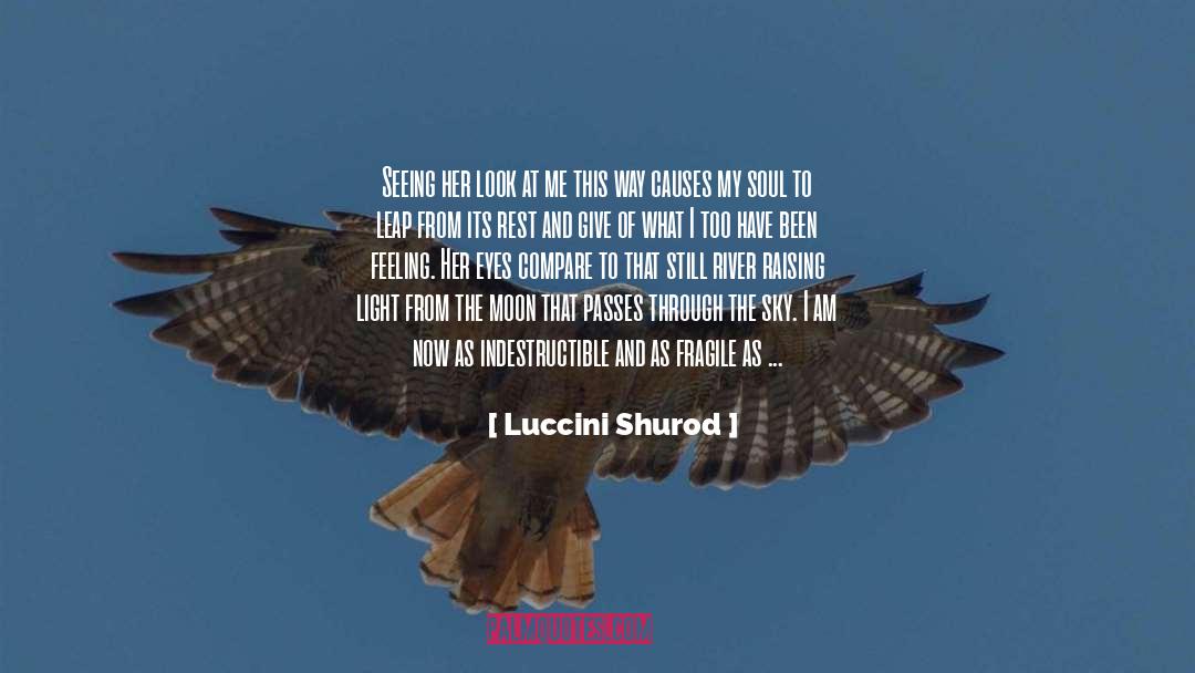 Luccini Shurod Quotes: Seeing her look at me