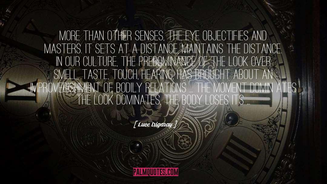 Luce Irigaray Quotes: More than other senses, the