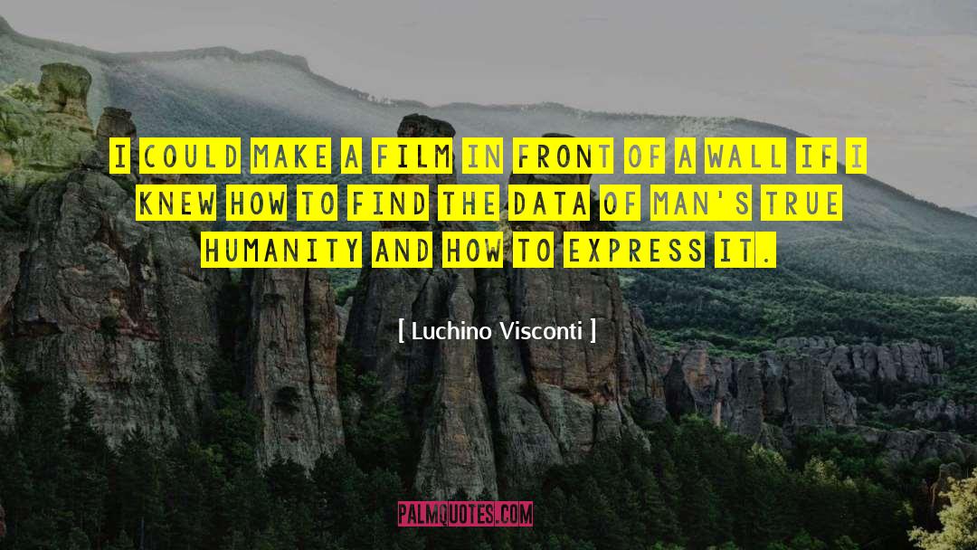 Luchino Visconti Quotes: I could make a film