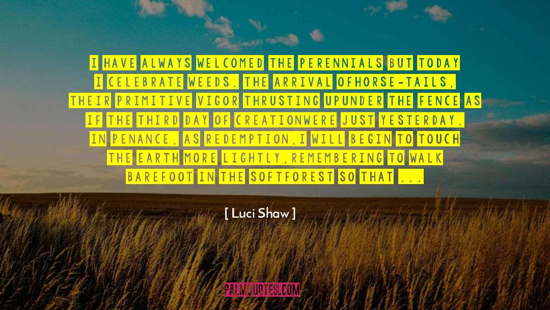 Luci Shaw Quotes: I have always welcomed the