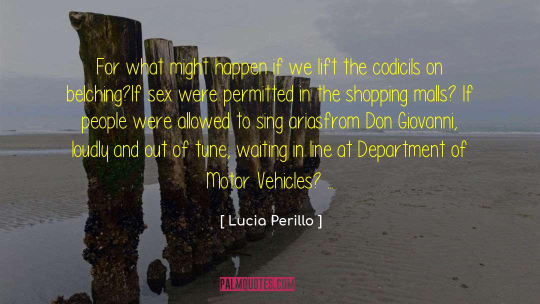 Lucia Perillo Quotes: For what might happen if