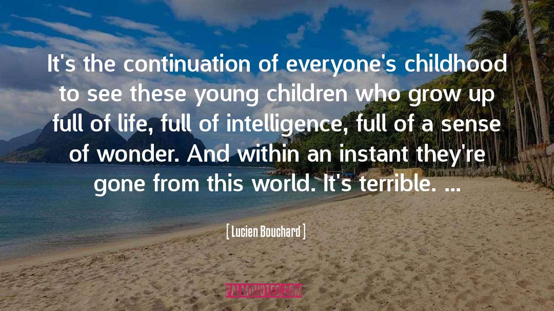 Lucien Bouchard Quotes: It's the continuation of everyone's