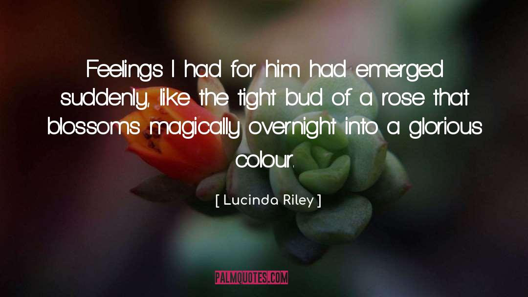 Lucinda Riley Quotes: Feelings I had for him