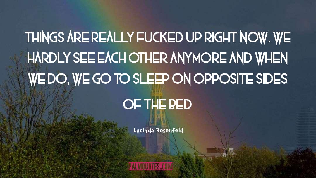 Lucinda Rosenfeld Quotes: Things are really fucked up