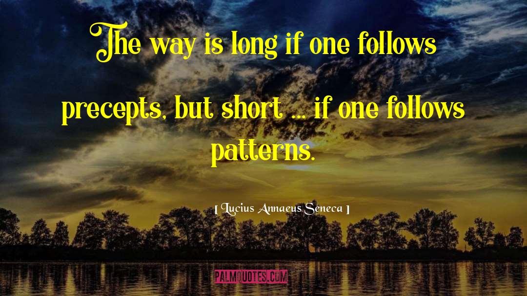 Lucius Annaeus Seneca Quotes: The way is long if