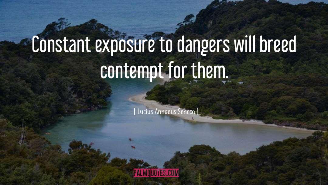 Lucius Annaeus Seneca Quotes: Constant exposure to dangers will