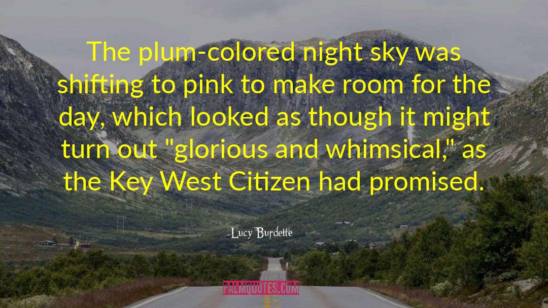 Lucy Burdette Quotes: The plum-colored night sky was