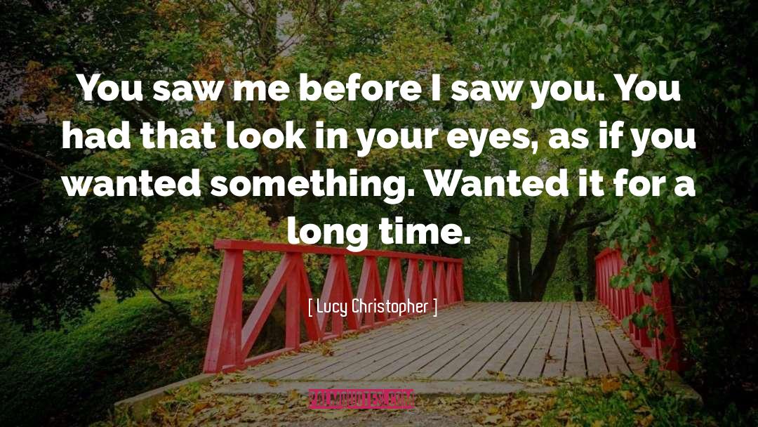 Lucy Christopher Quotes: You saw me before I