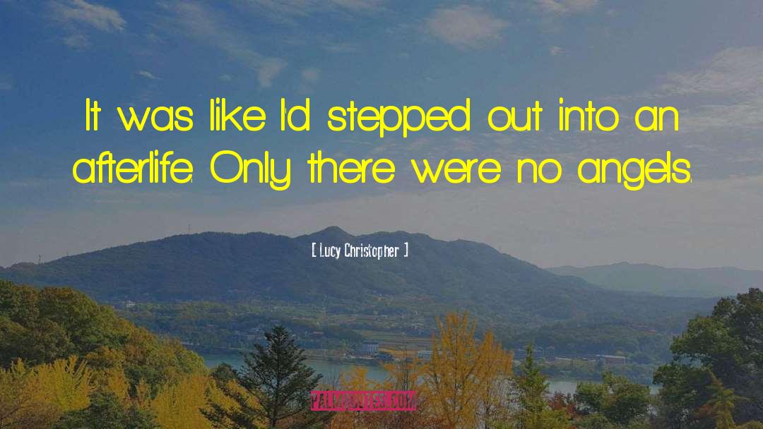 Lucy Christopher Quotes: It was like I'd stepped