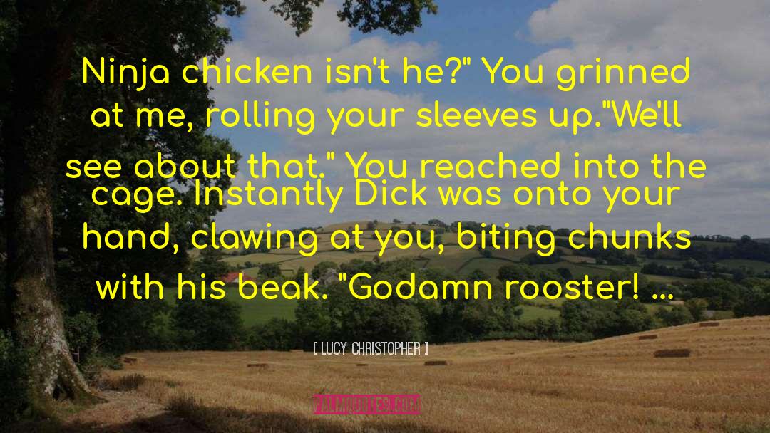 Lucy Christopher Quotes: Ninja chicken isn't he?