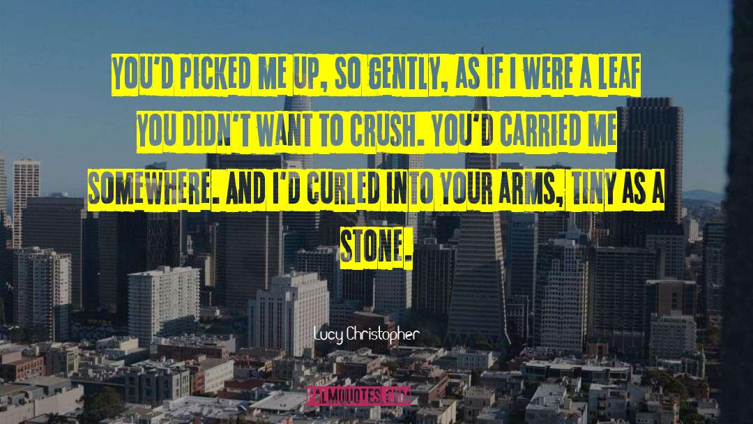 Lucy Christopher Quotes: You'd picked me up, so