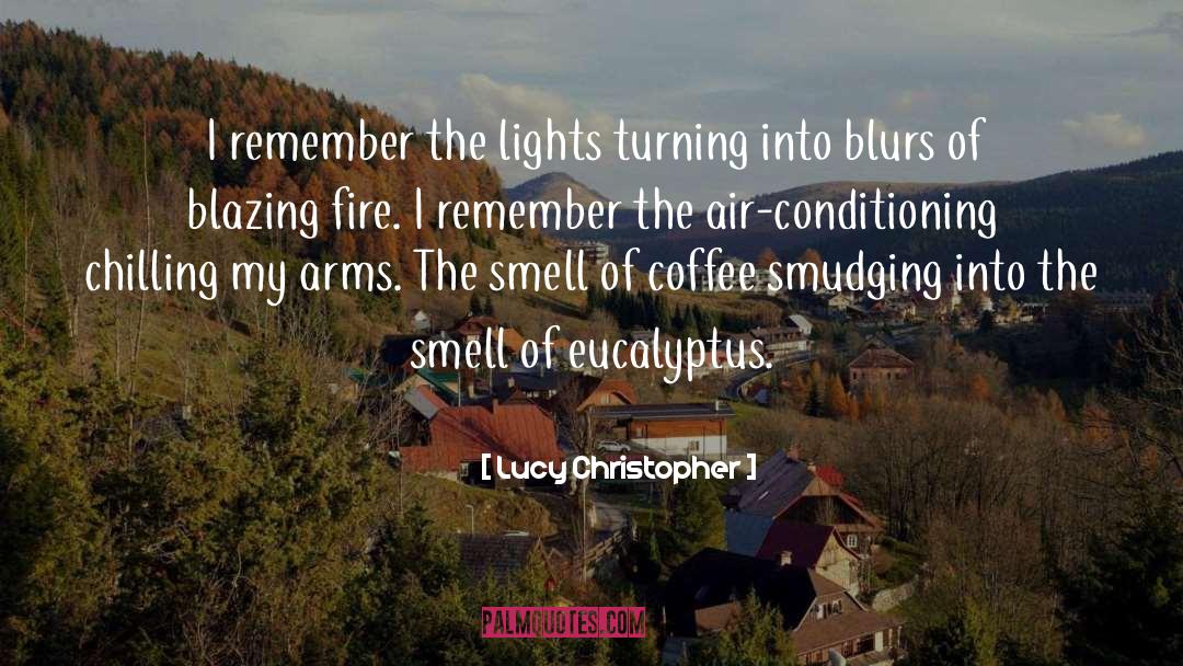 Lucy Christopher Quotes: I remember the lights turning