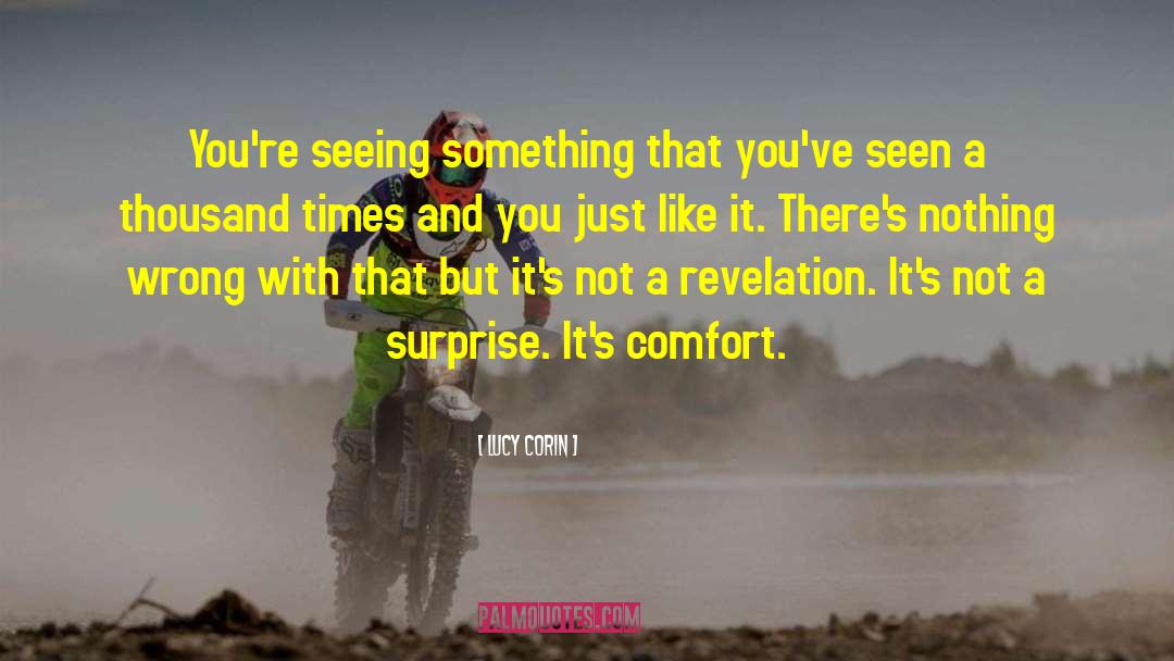 Lucy Corin Quotes: You're seeing something that you've