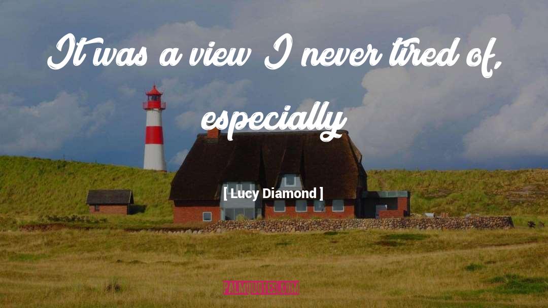 Lucy Diamond Quotes: It was a view I