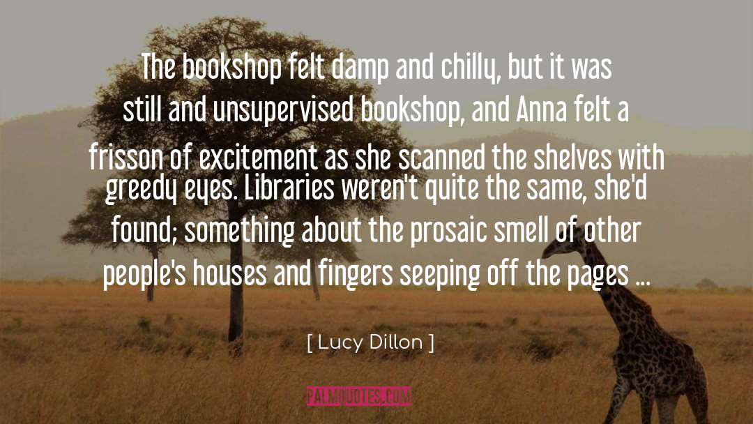 Lucy Dillon Quotes: The bookshop felt damp and