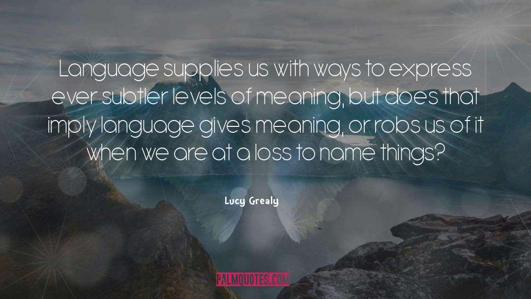 Lucy Grealy Quotes: Language supplies us with ways