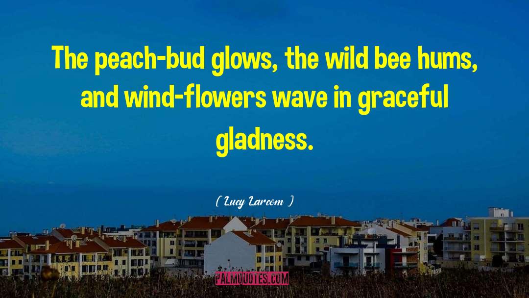 Lucy Larcom Quotes: The peach-bud glows, the wild