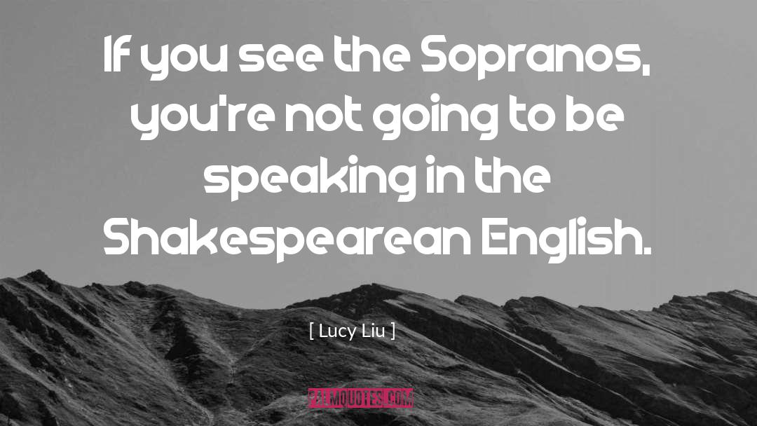 Lucy Liu Quotes: If you see the Sopranos,