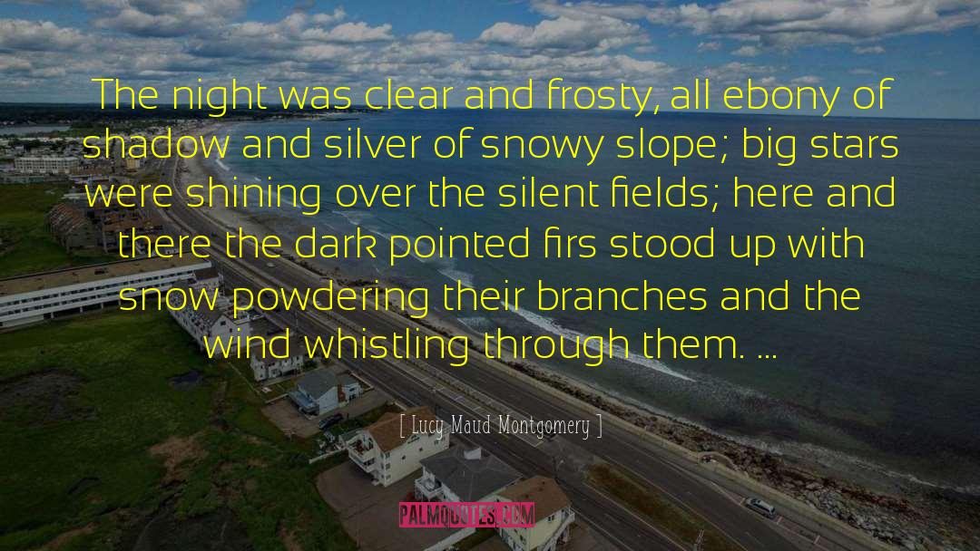 Lucy Maud Montgomery Quotes: The night was clear and